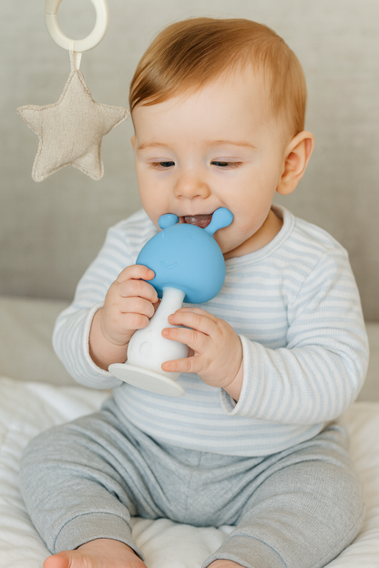 Box Sensorial de Estimulación para Bebé – 5 Artículos de Desarrollo Temprano. león