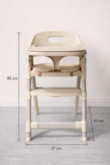 Silla evolutiva TinyStep Pro